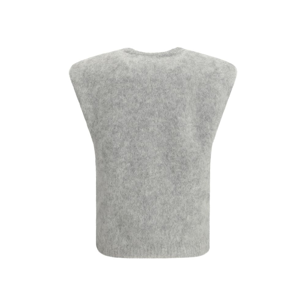 Gray Alpaca Vicugna Pacos Sleeveles T-Shirt