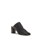 Black Lamb Ovis Aries Aries Mules