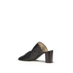 Black Lamb Ovis Aries Aries Mules