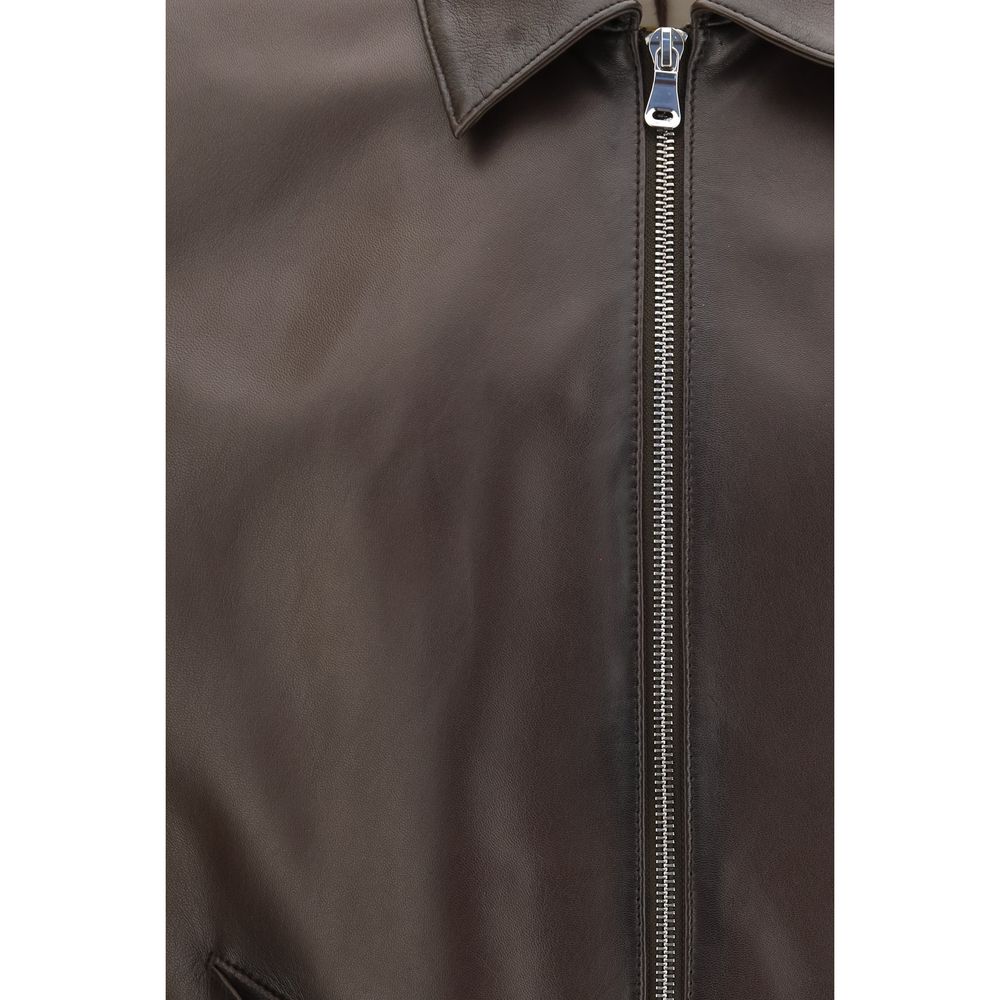 Brown Lamb Ovis Aries Aries Bomber