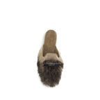 Gray Lamb Ovis Aries Aries Mules