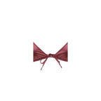 Bordeaux Polyamide Bikini