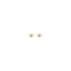 Gold Brass Earrings