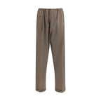Brown Polyester Casual Pants