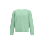 Green Alpaca Vicugna Pacos Sweatshirt