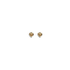 Gold Metal Earrings
